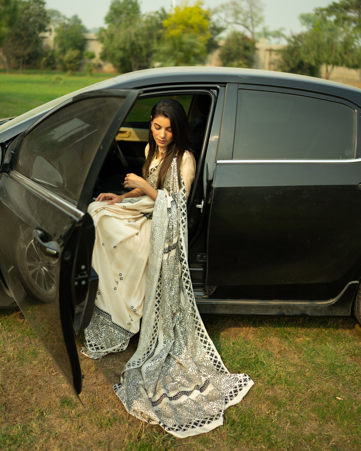 Afsana Hand block print Saree
