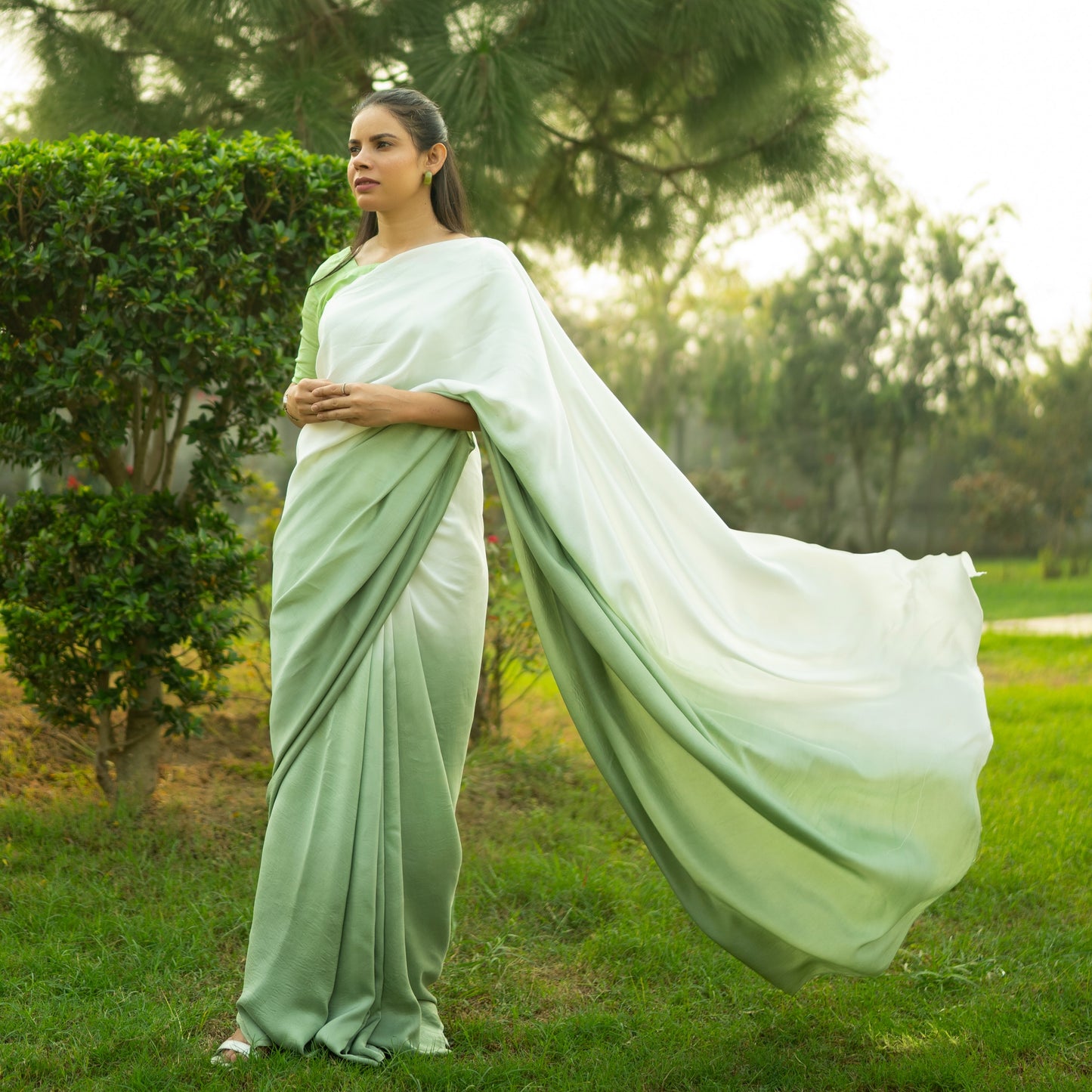 Ombre pistachio Saree