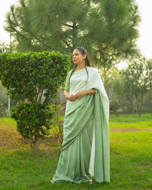 Ombre pistachio Saree