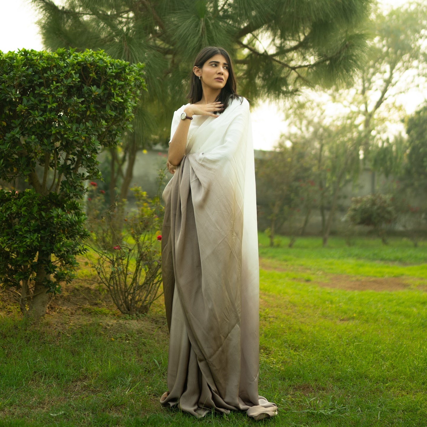 Ombre Cacao Saree