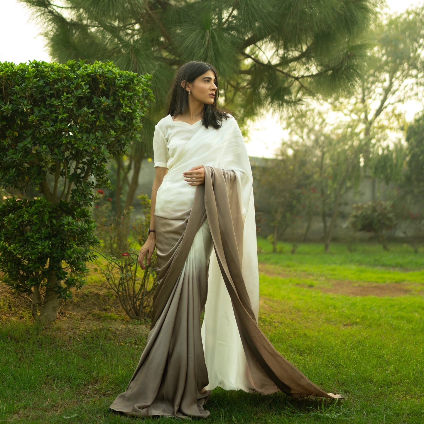 Ombre Cacao Saree