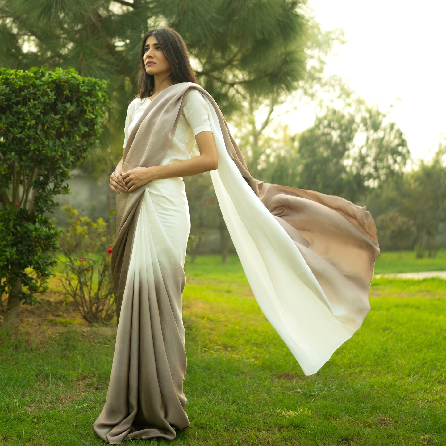 Ombre Cacao Saree