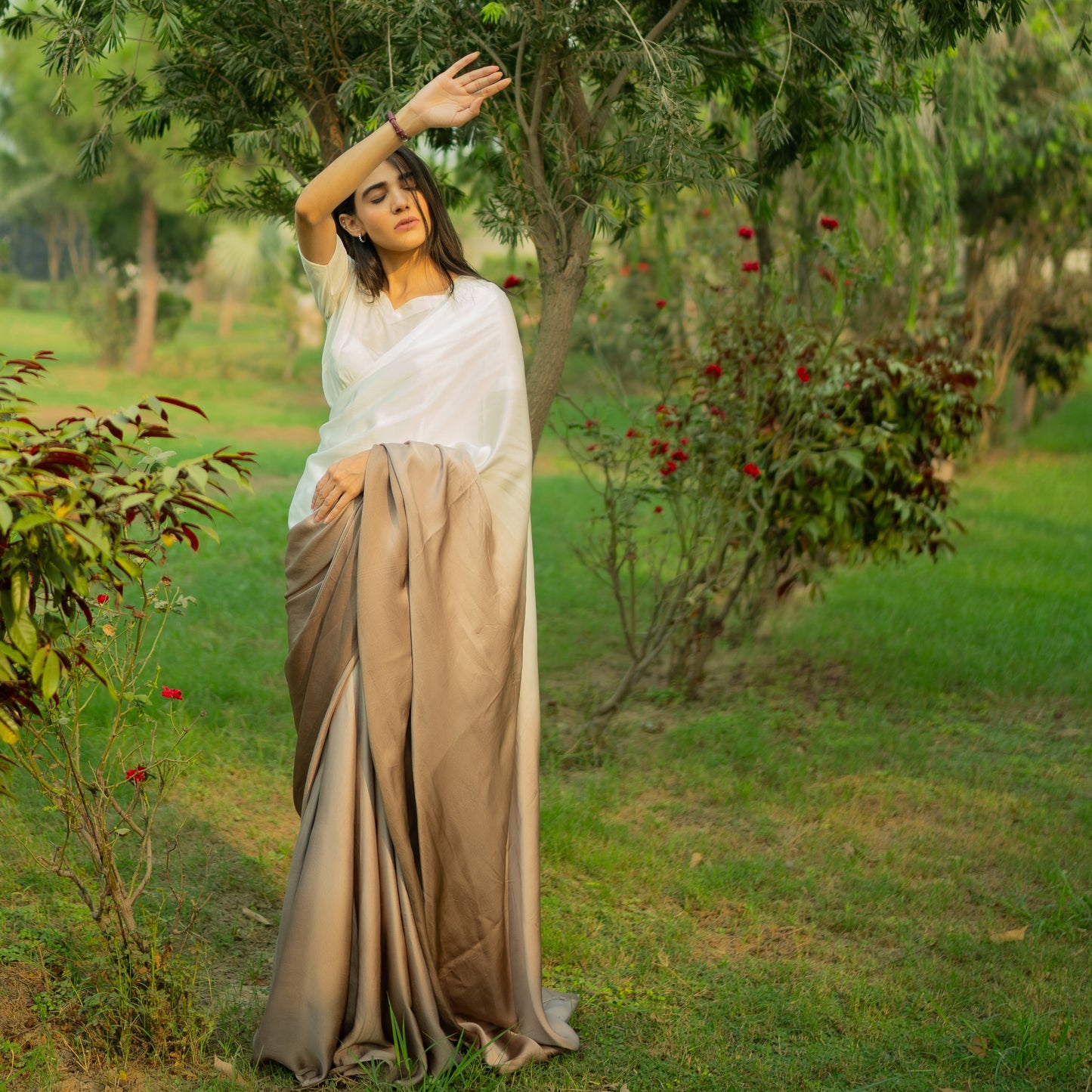 Ombre Cacao Saree
