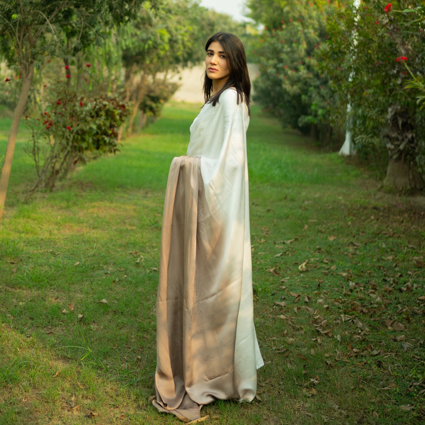 Ombre Cacao Saree