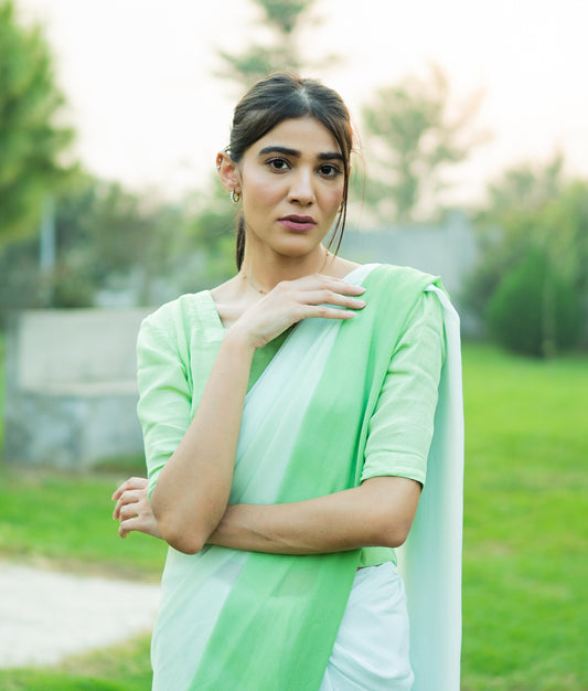 Ombre Limegreen Saree